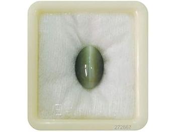 Cat’s Eye